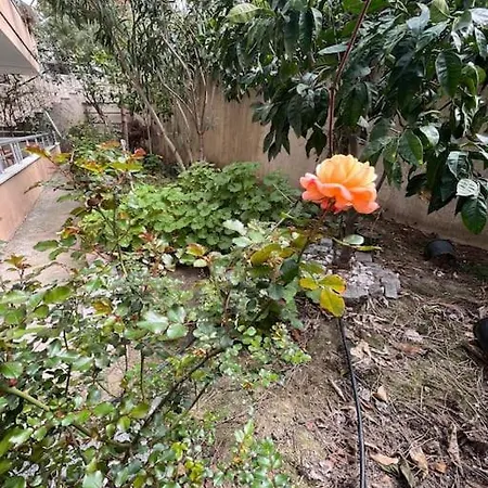 Silemiyorum Kapali Appartement Ayvalı